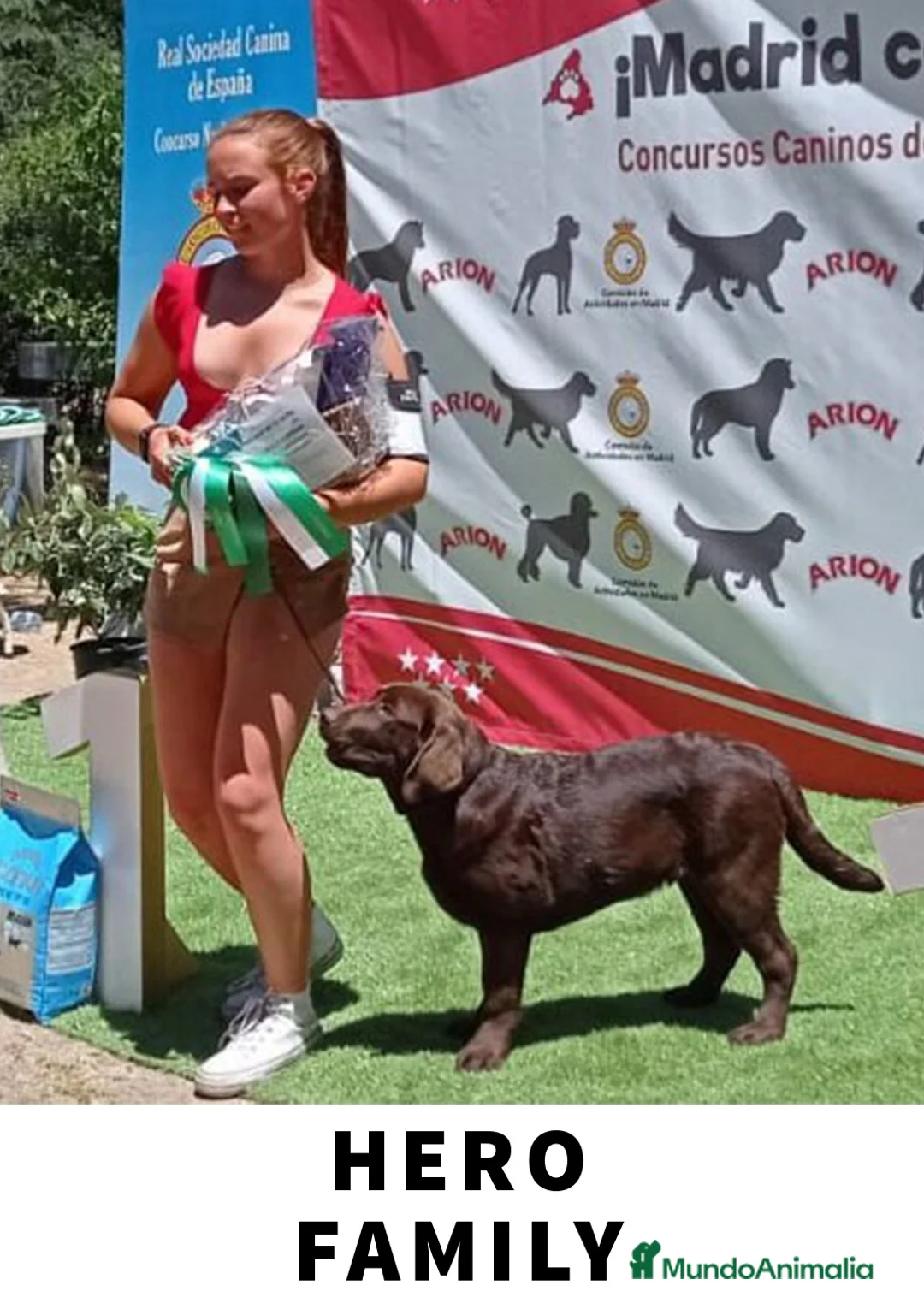 Imagen de galería {{count}}