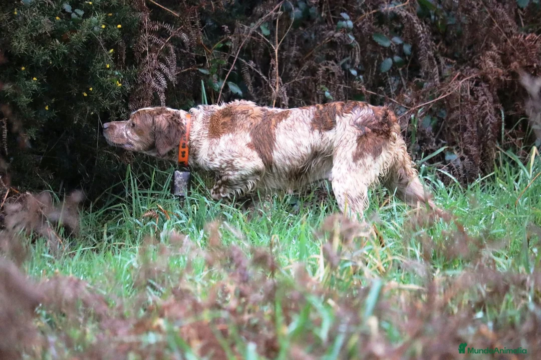 Imagen de galería {{count}}