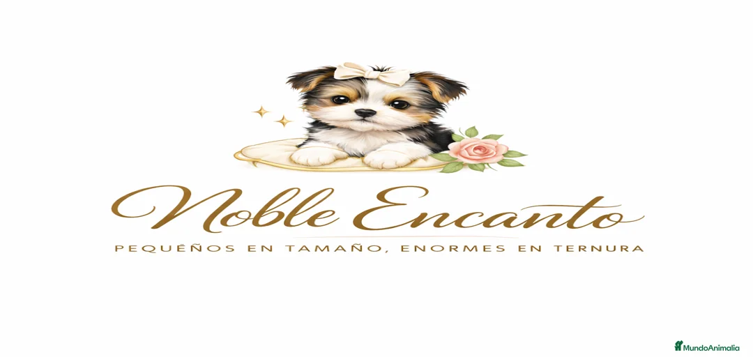 Imagen de galería {{count}}