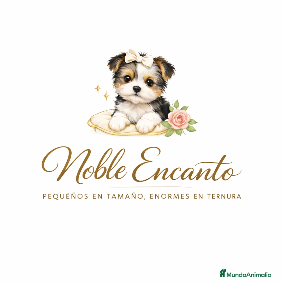 Imagen de galería {{count}}