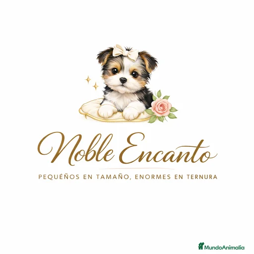 Imagen de galería {{count}}