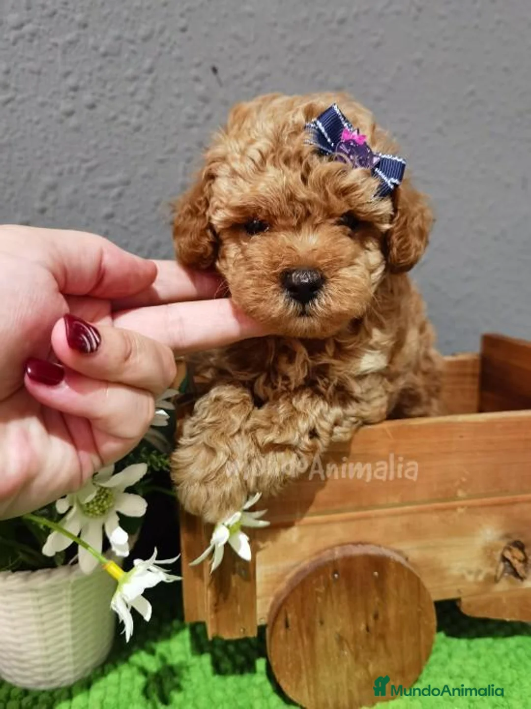 Imagen de galería {{count}}