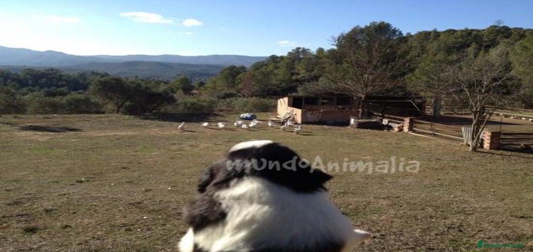 Imagen de galería {{count}}