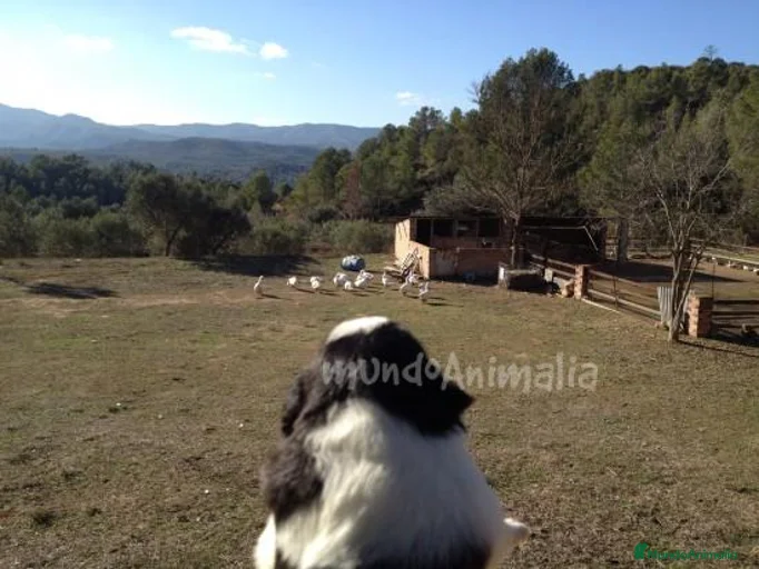 Imagen de galería {{count}}