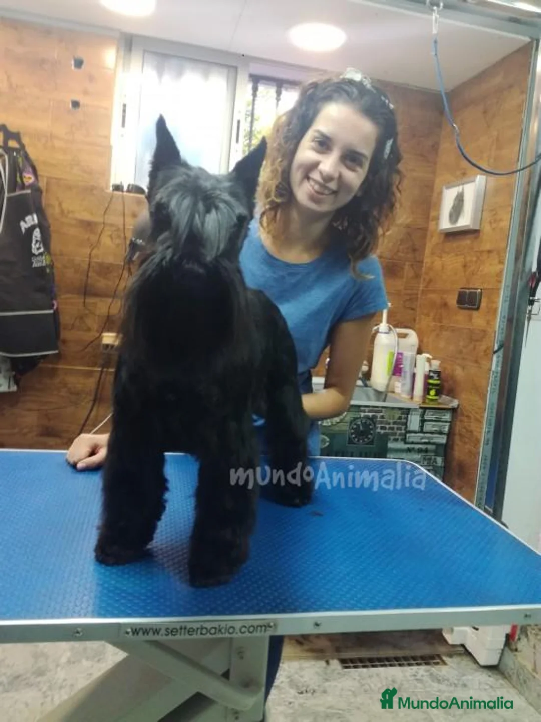 Imagen de galería {{count}}