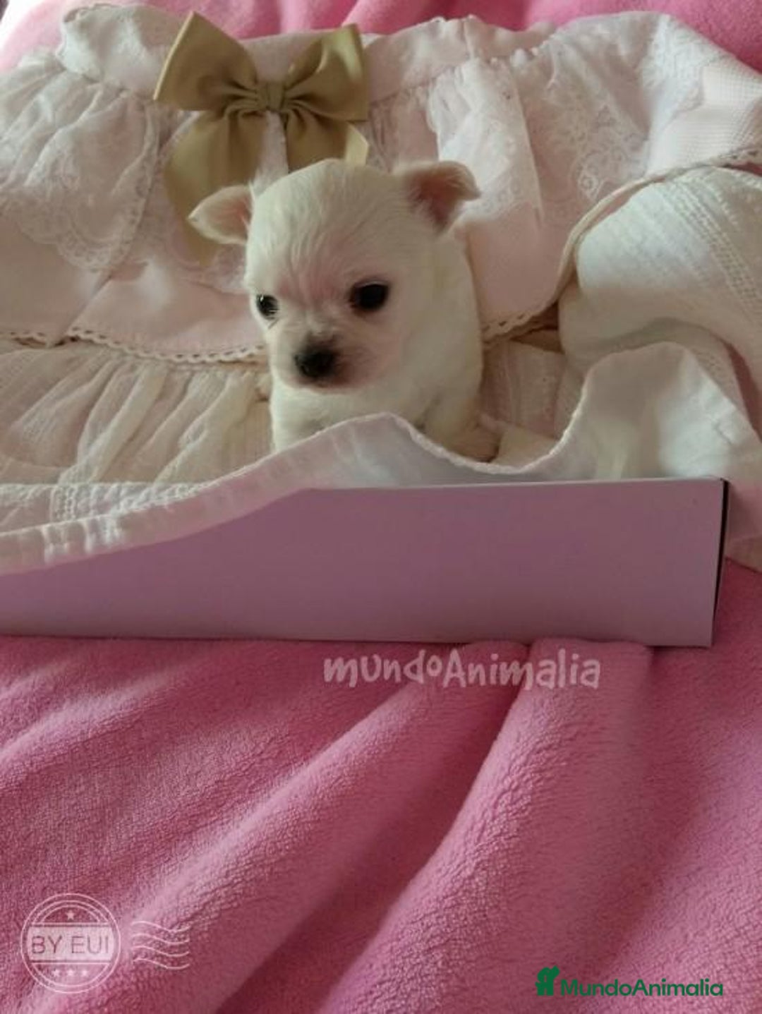 Imagen de galería {{count}}