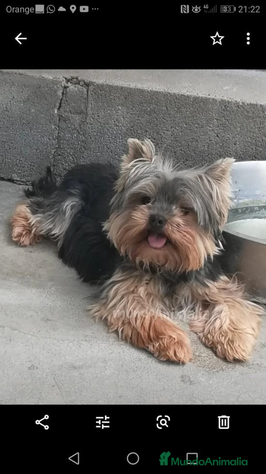 Imagen de galería {{count}}