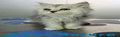 Persa