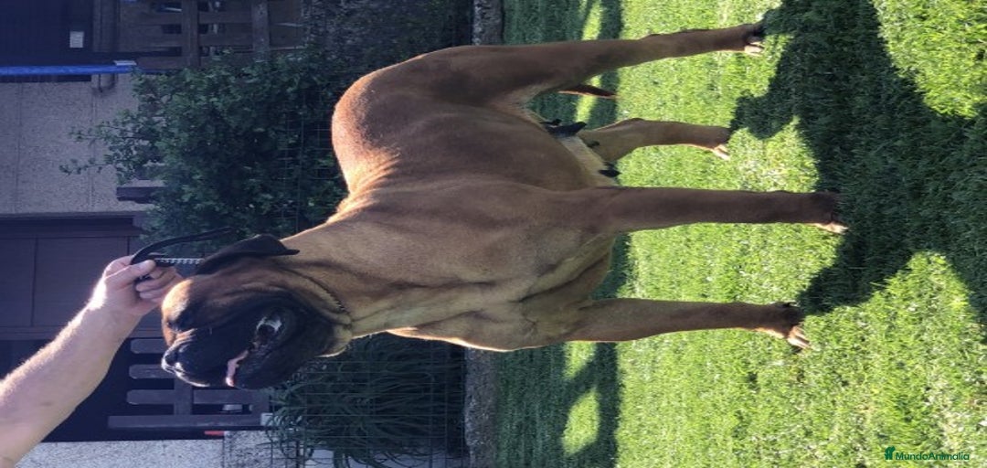 Imagen de galería {{count}}