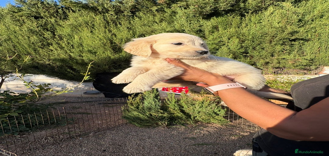 Imagen de galería {{count}}