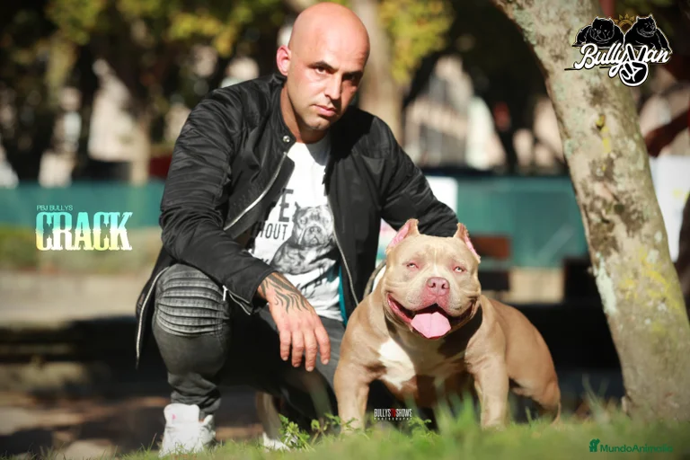 Imagen de galería {{count}}