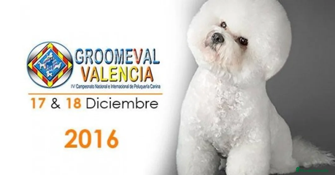 Imagen de galería {{count}}