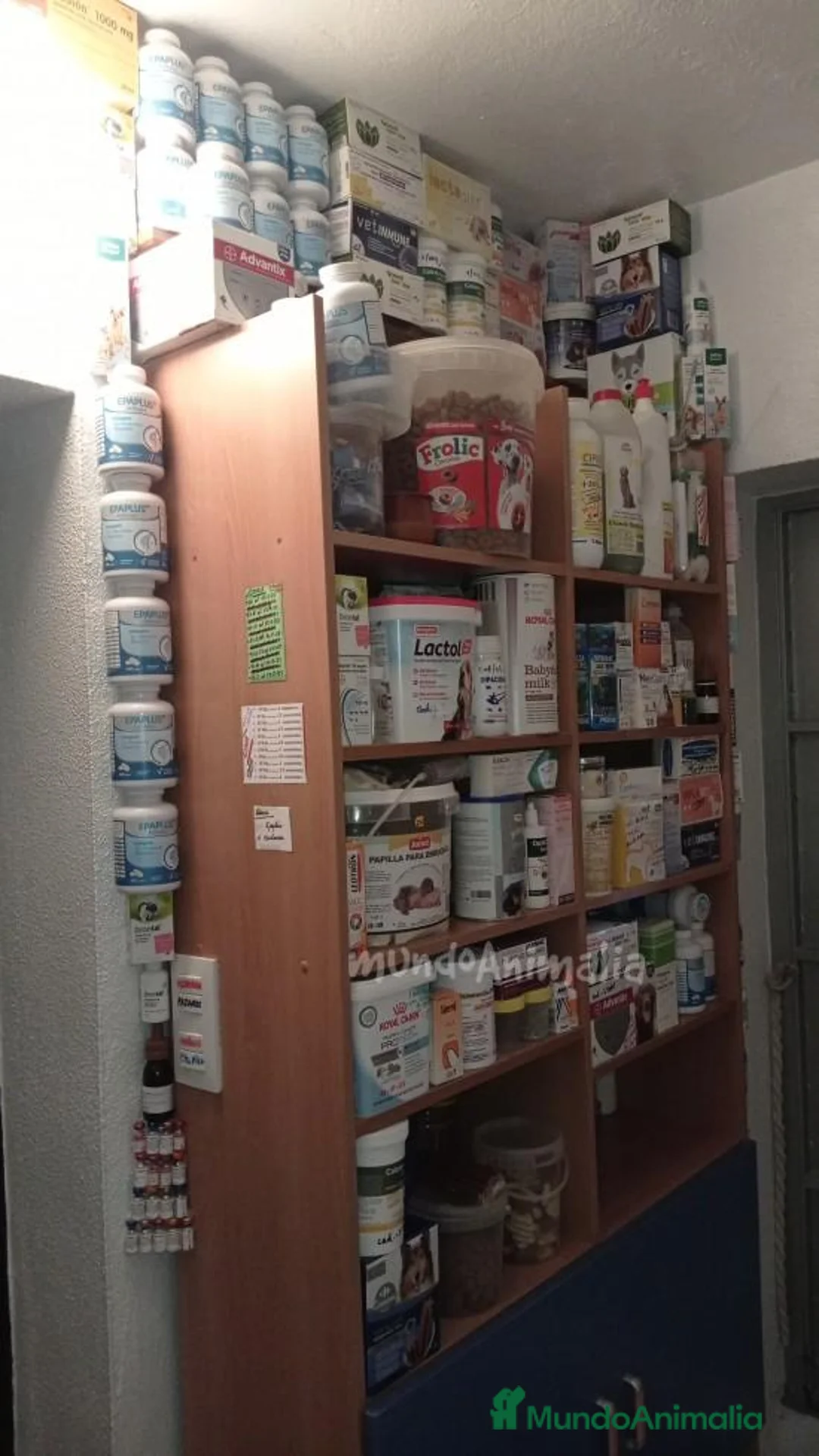 Imagen de galería {{count}}