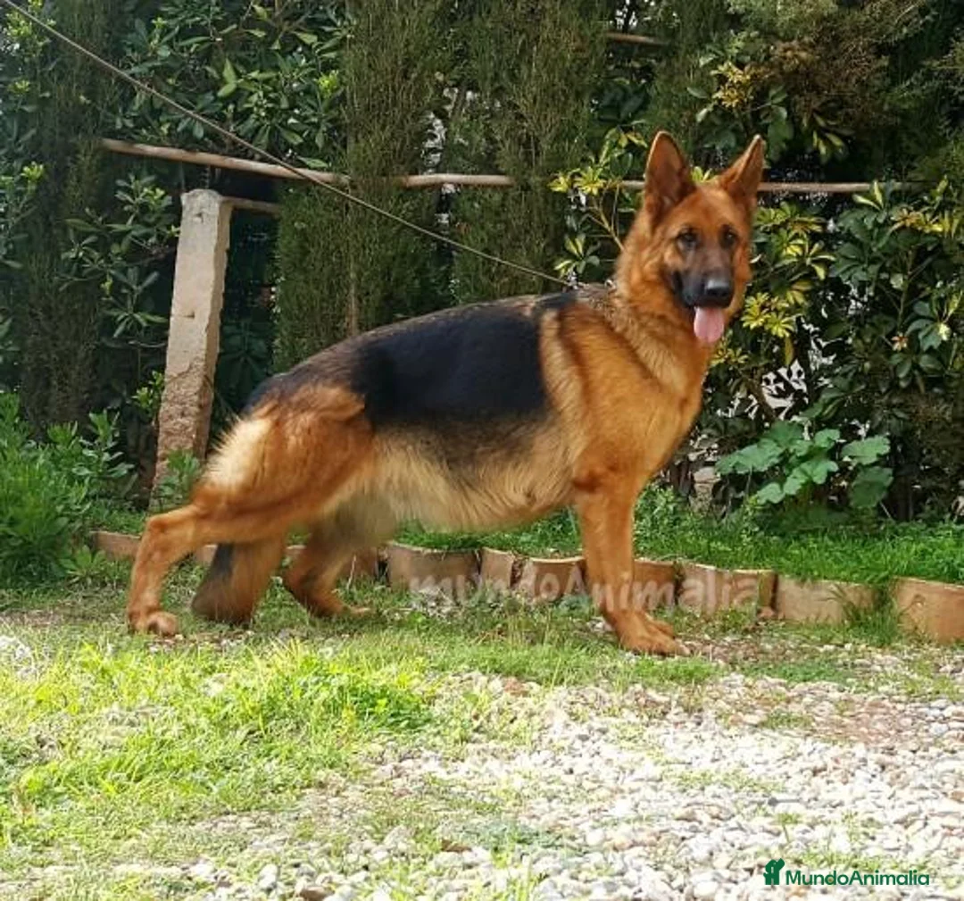 Imagen de galería {{count}}