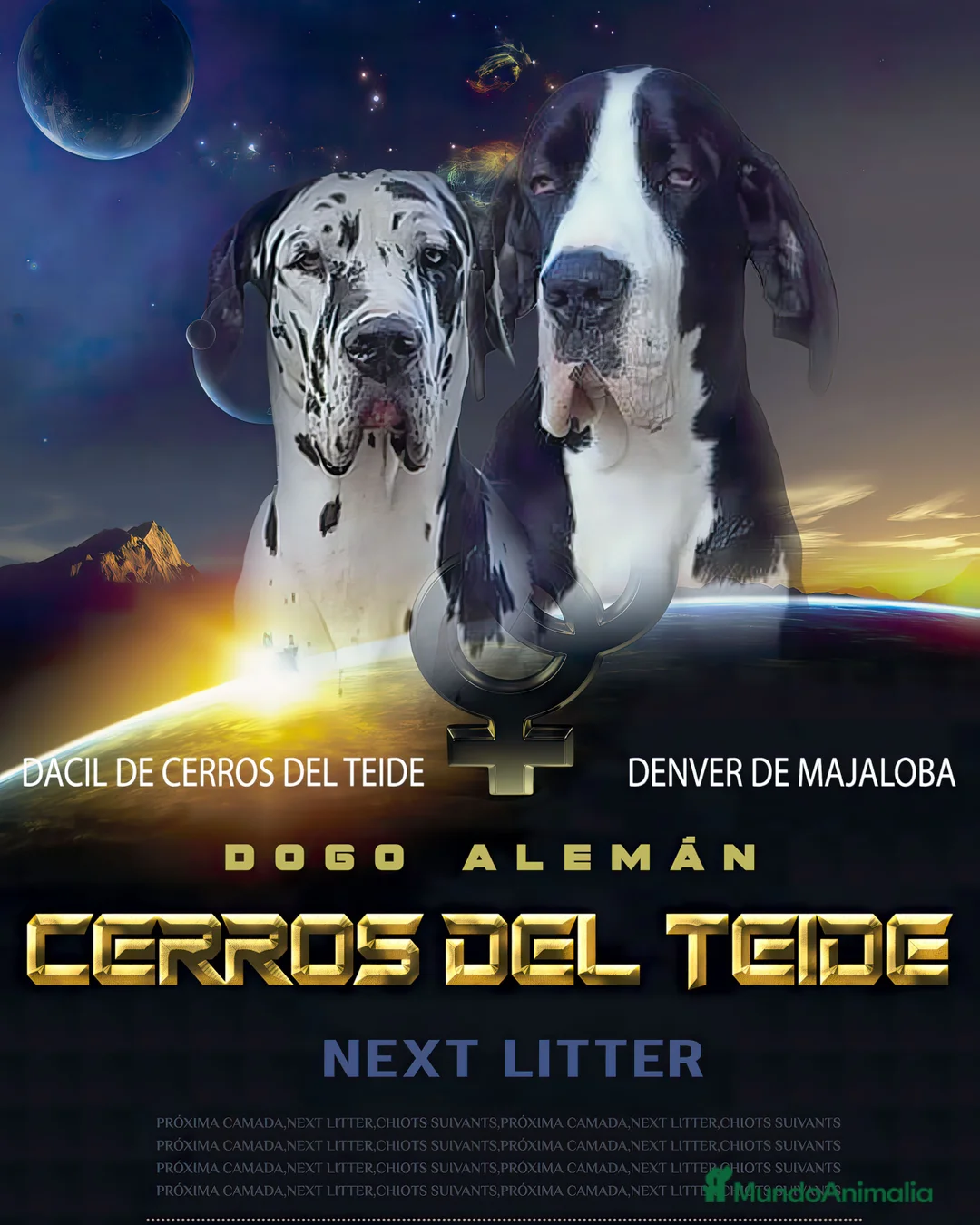 Imagen de galería {{count}}