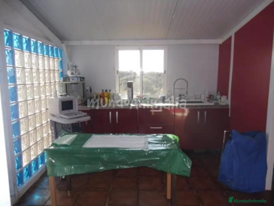 Imagen de galería {{count}}