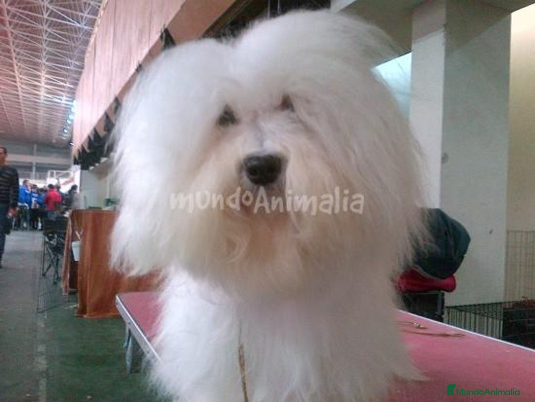 Imagen de galería {{count}}