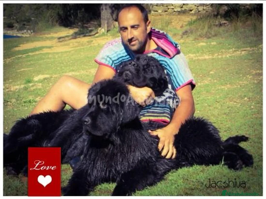 Imagen de galería {{count}}