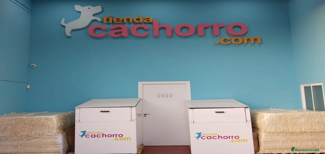 Imagen de galería {{count}}