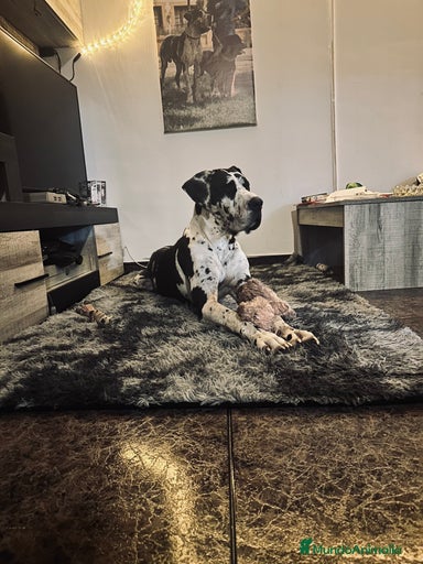 Imagen de galería {{count}}