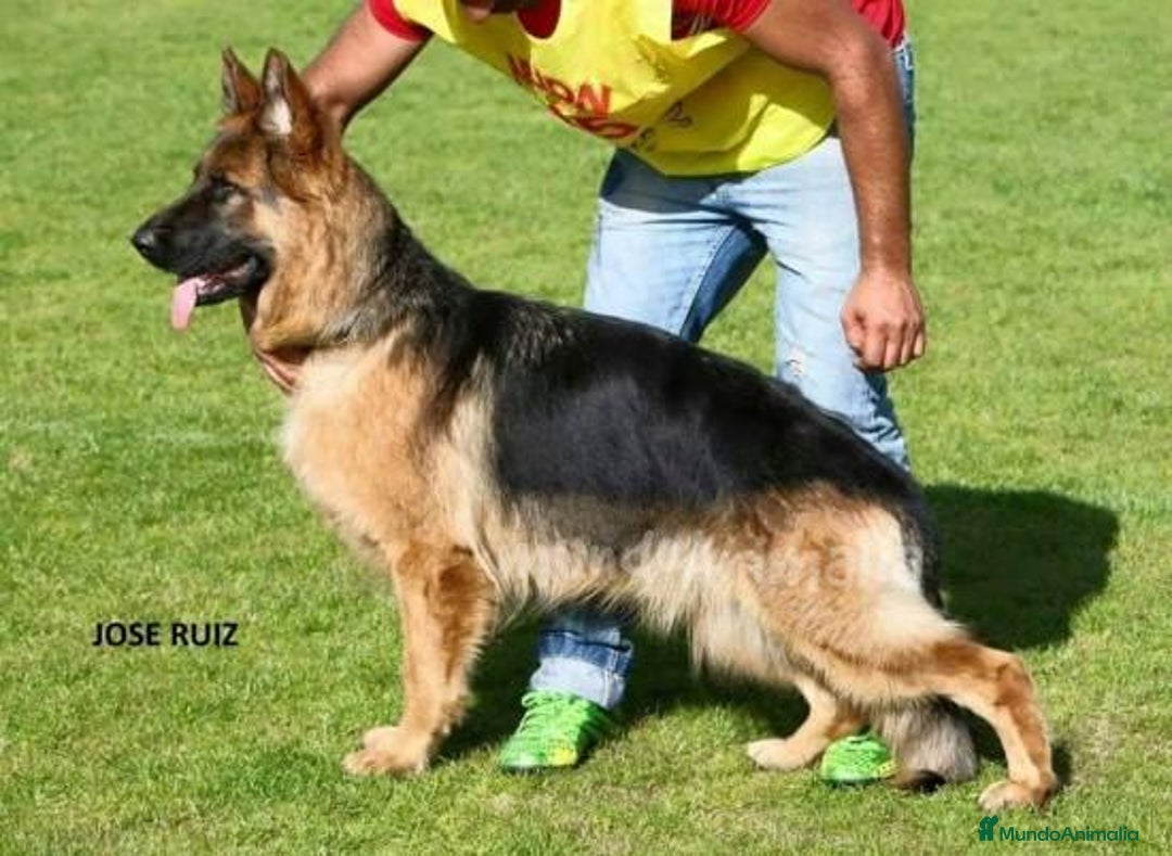 Imagen de galería {{count}}