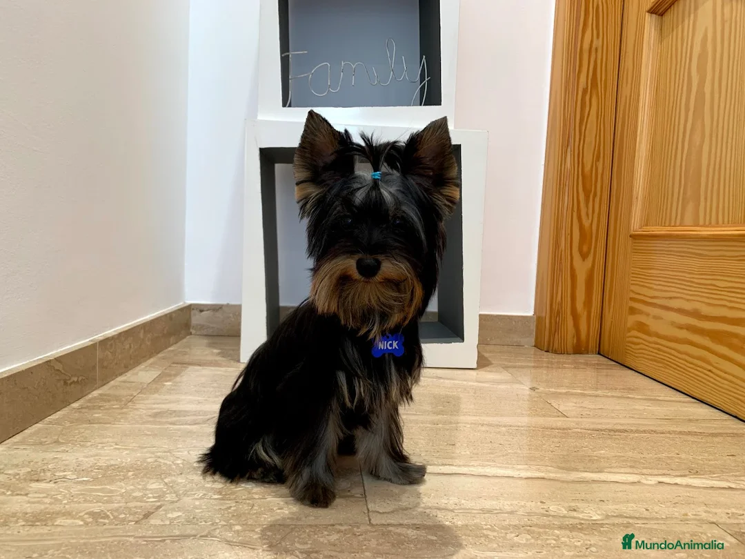 Imagen de galería {{count}}