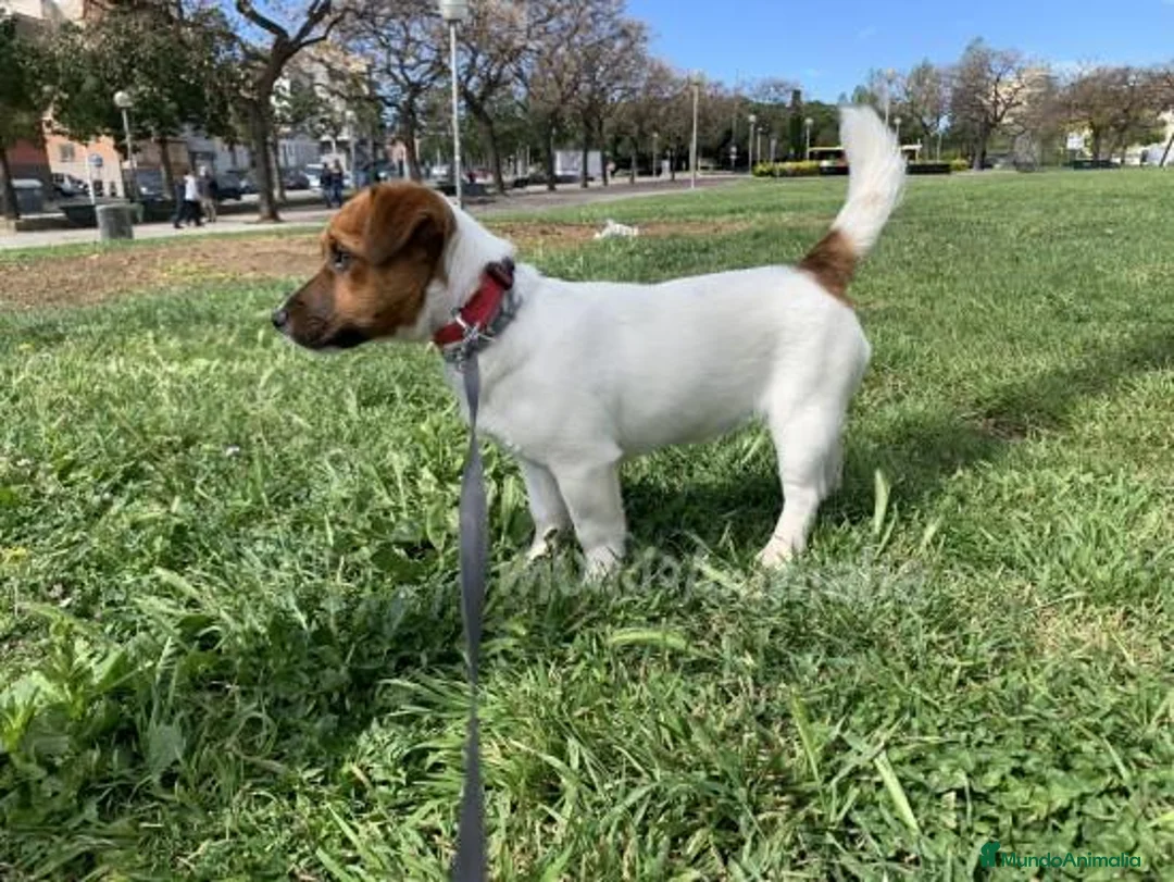 Imagen de galería {{count}}