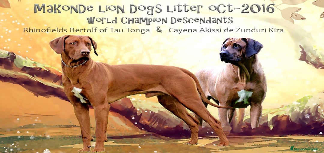 Imagen de galería {{count}}