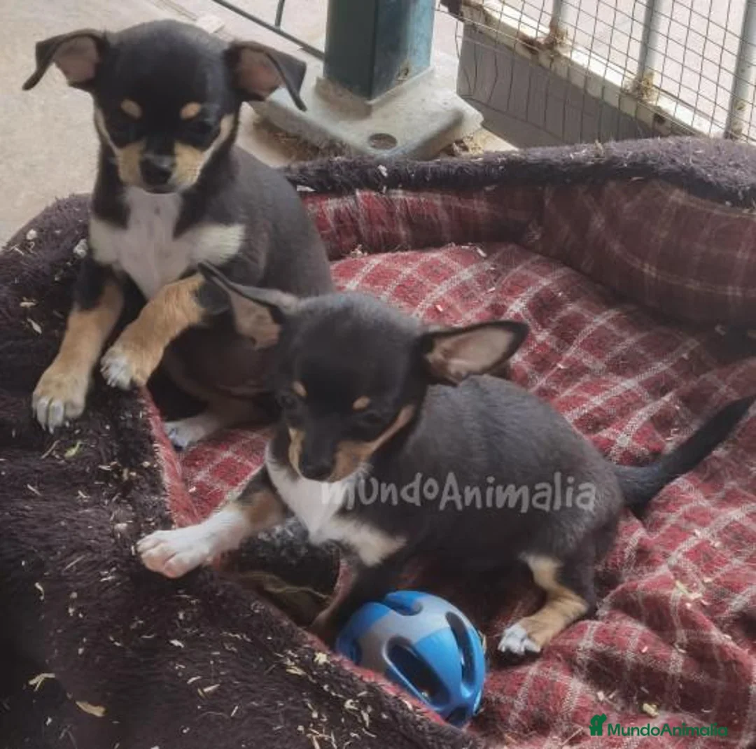 Imagen de galería {{count}}