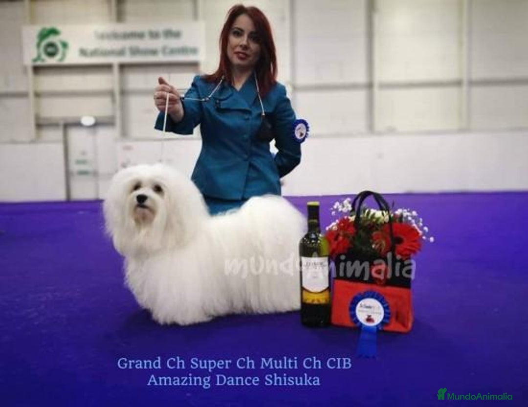 Imagen de galería {{count}}