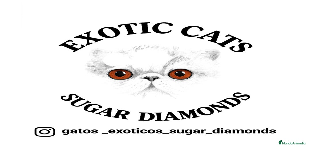 Imagen de galería {{count}}