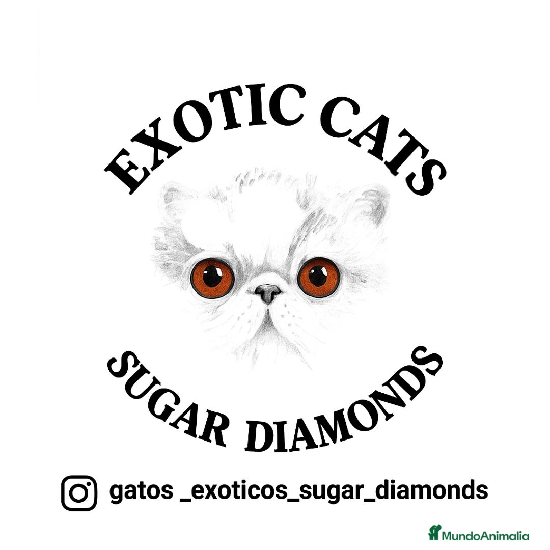 Imagen de galería {{count}}