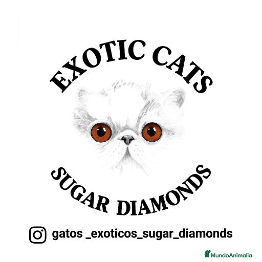 Imagen de galería {{count}}