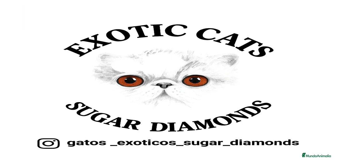 Imagen de galería {{count}}