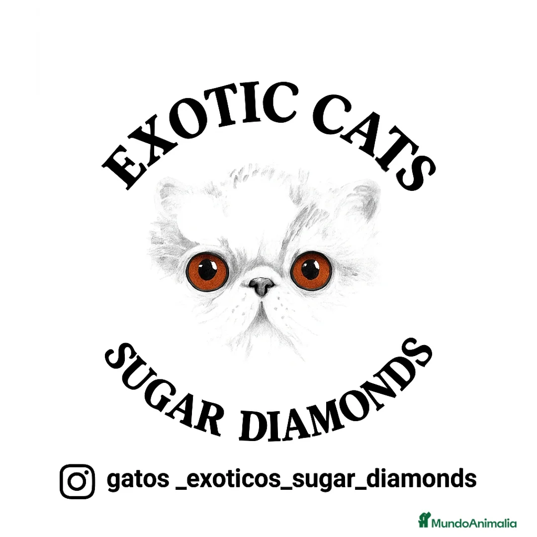 Imagen de galería {{count}}