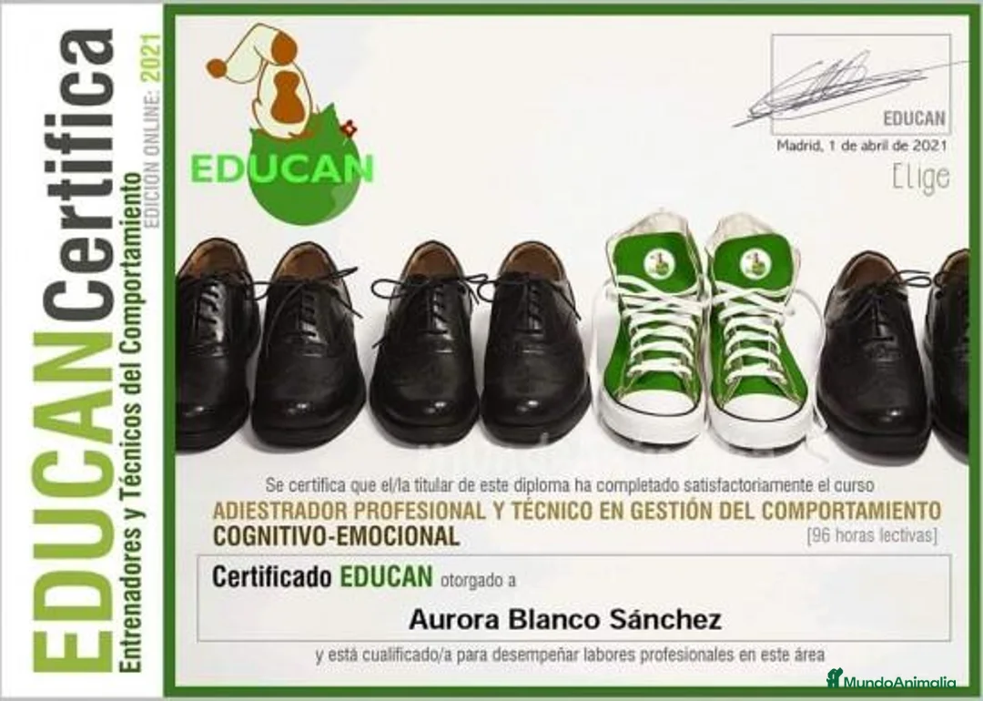 Imagen de galería {{count}}