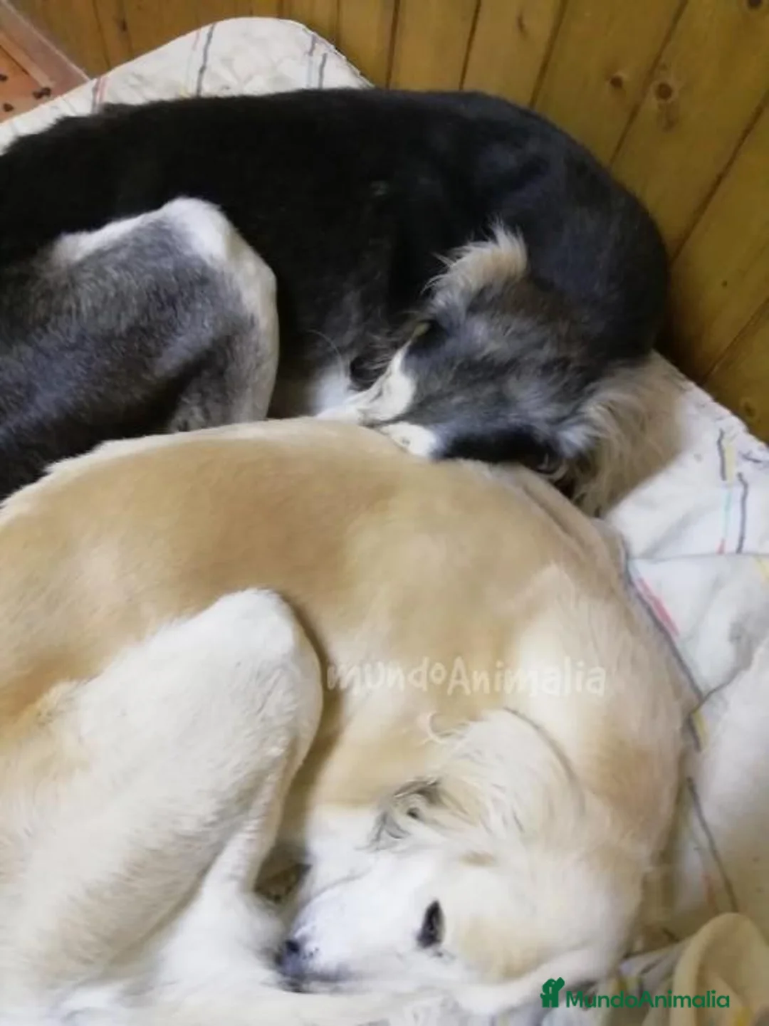 Imagen de galería {{count}}