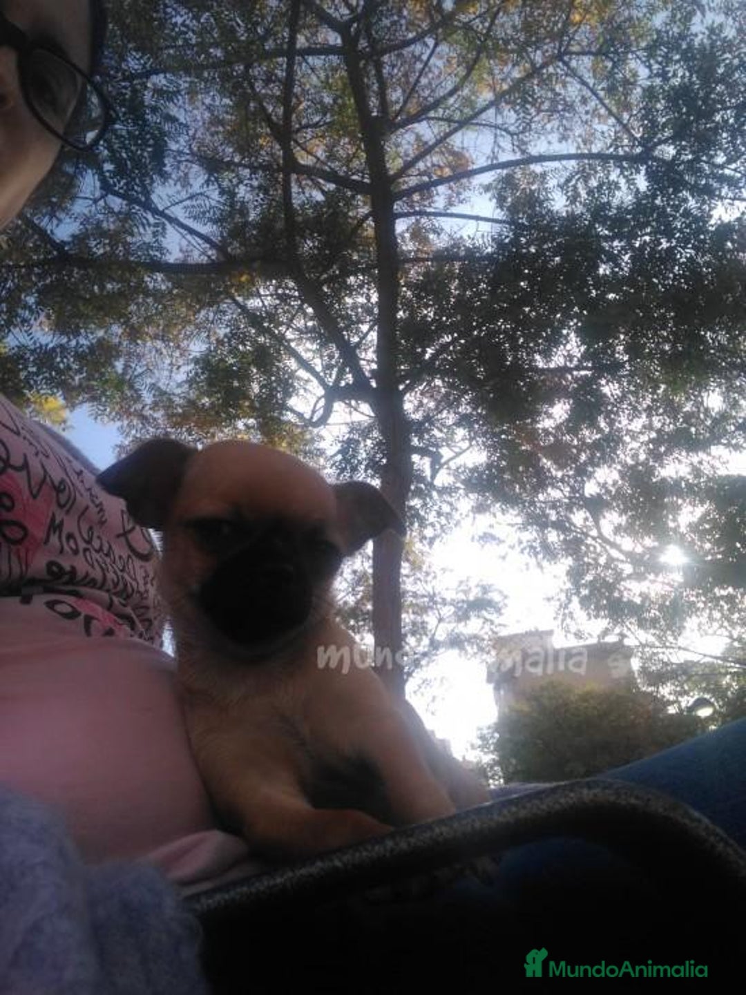 Imagen de galería {{count}}