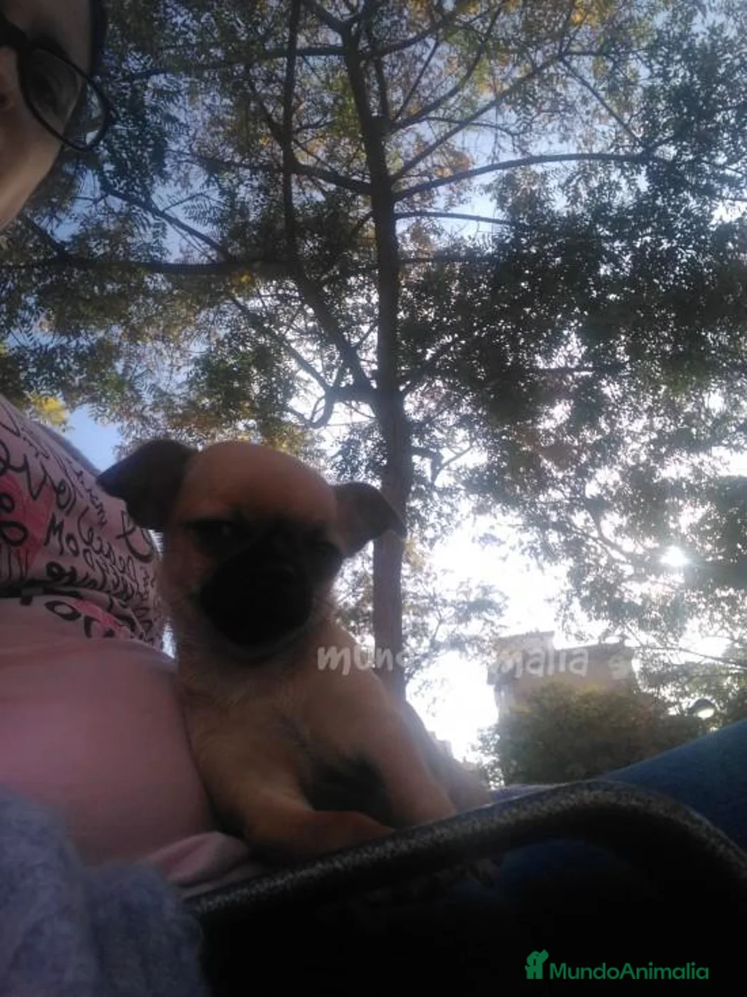 Imagen de galería {{count}}