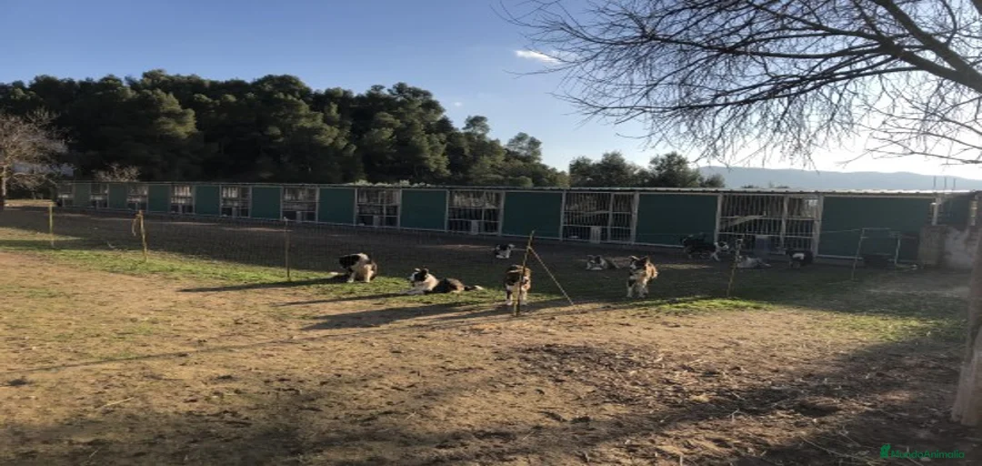 Imagen de galería {{count}}