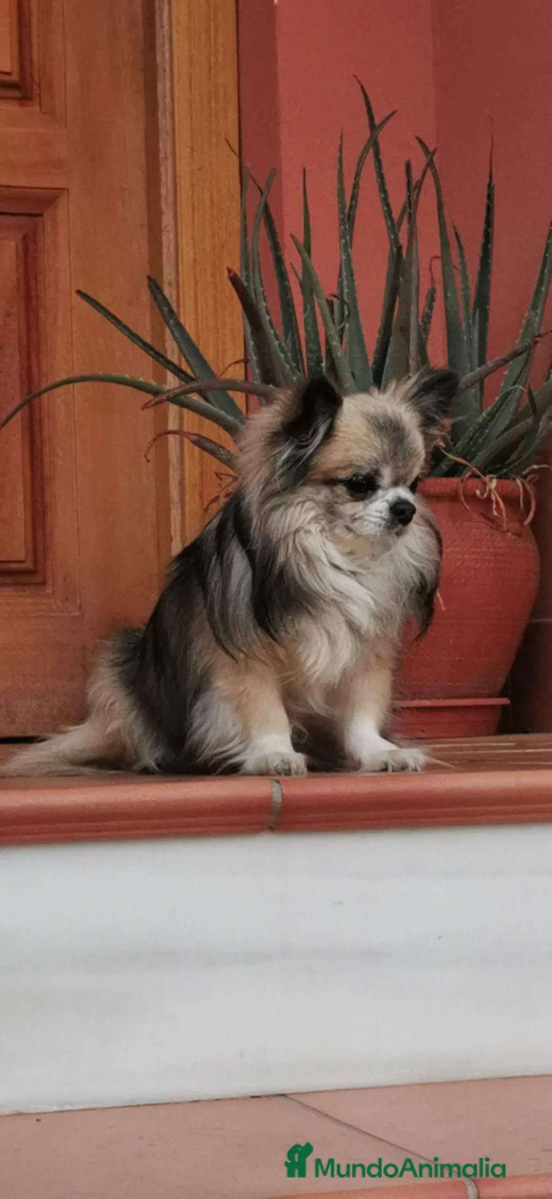 Imagen de galería {{count}}