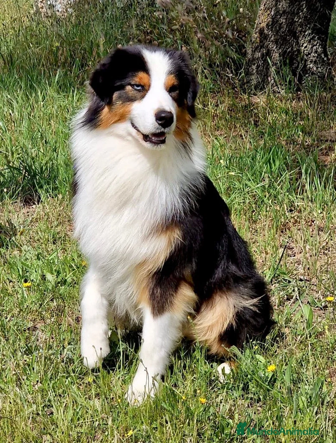 Imagen de galería {{count}}