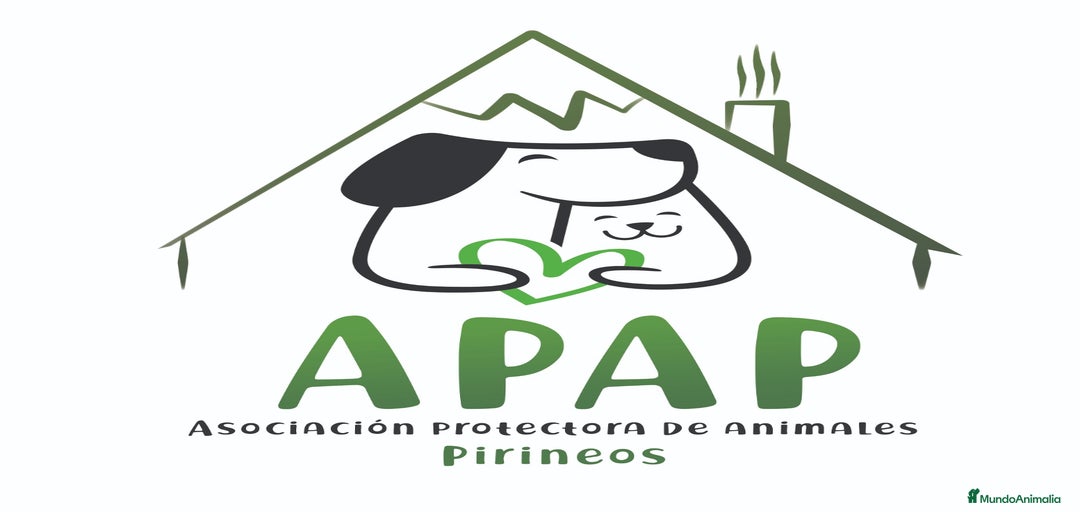 Imagen de galería {{count}}