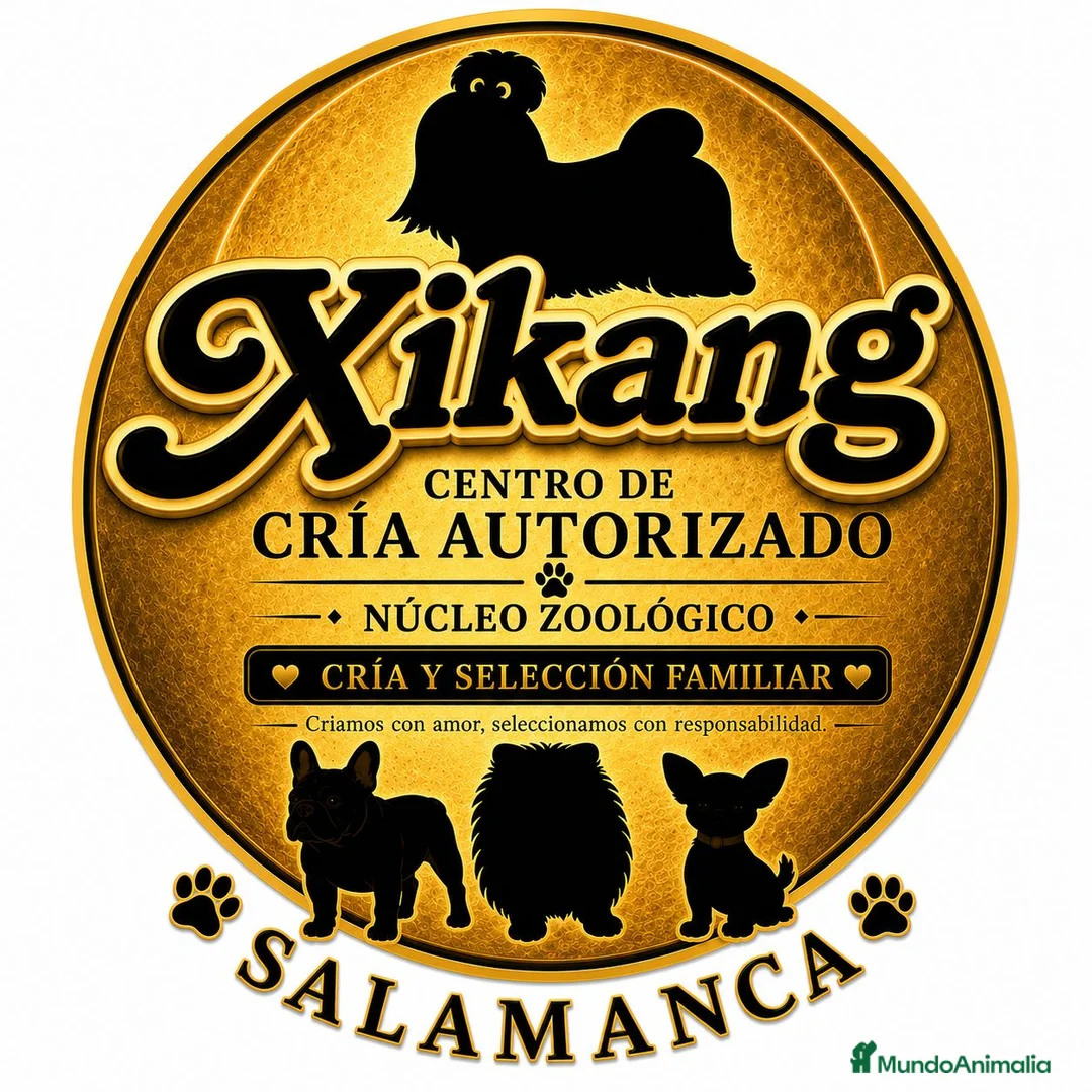 Imagen de galería {{count}}
