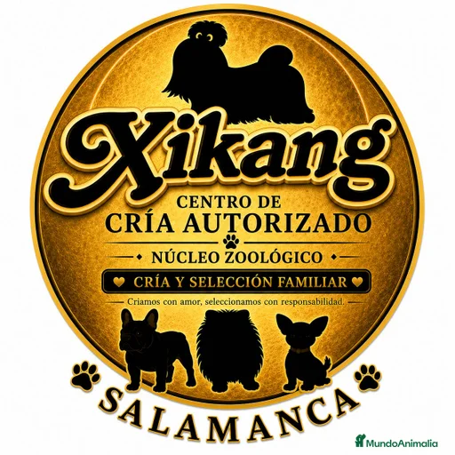 Imagen de galería {{count}}