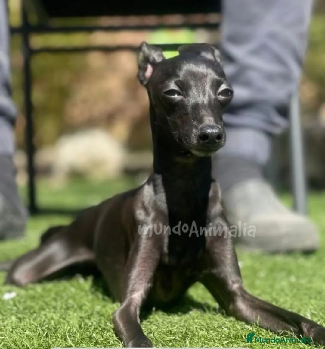 Imagen de galería {{count}}