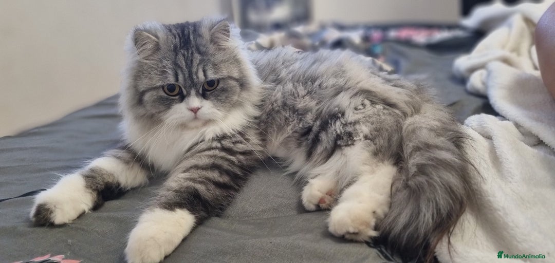 Imagen de galería {{count}}