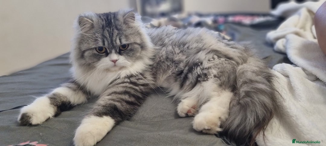 Imagen de galería {{count}}