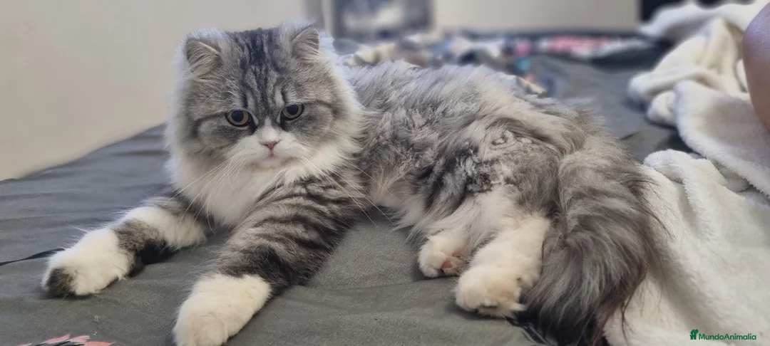 Imagen de galería {{count}}