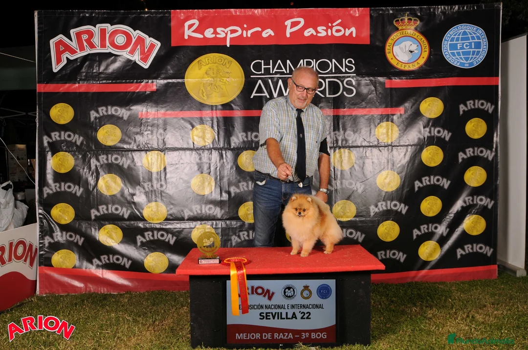 Imagen de galería {{count}}